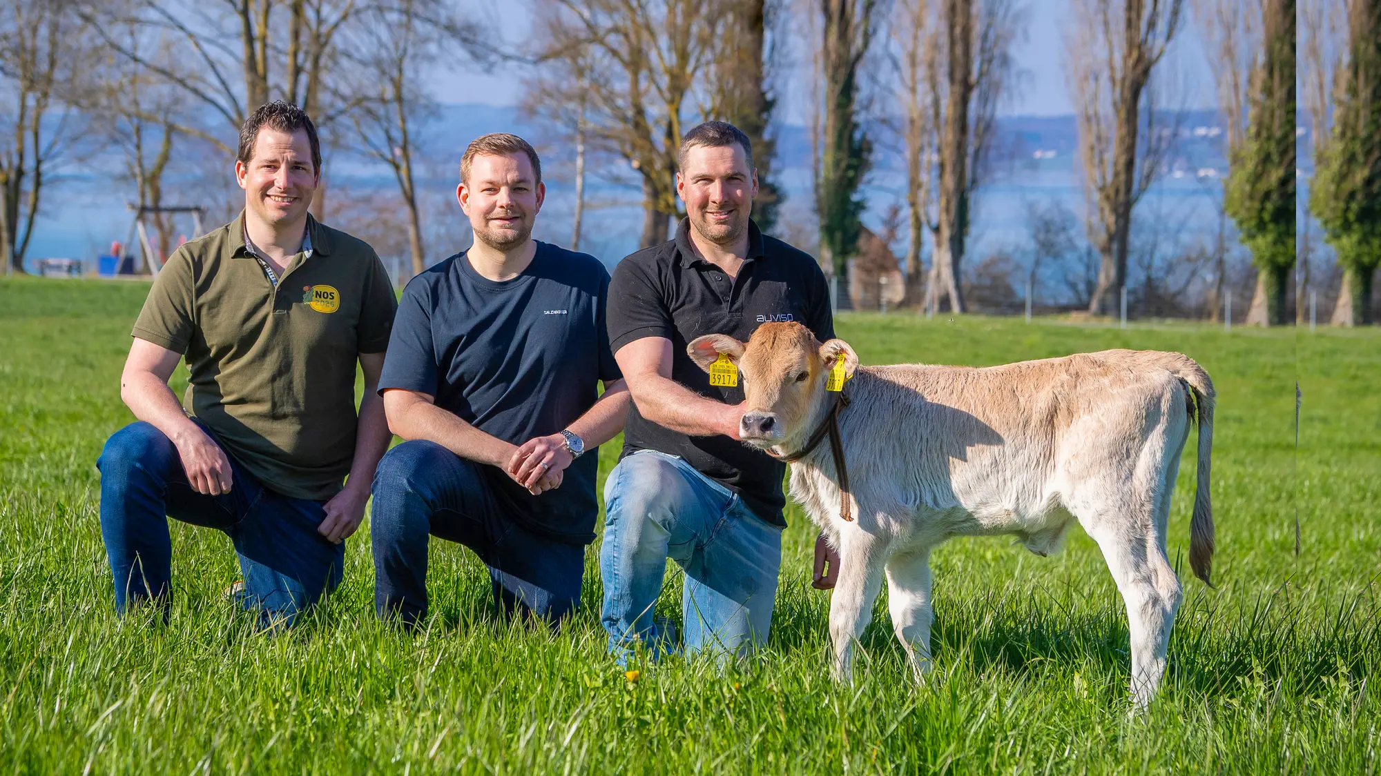 sponsoring-nos-schwingen-fleischmann-immobilien.jpg?c=023c09f039934ca4ac418d907918a829